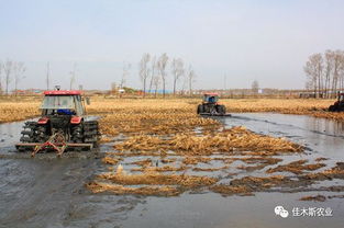 全省農(nóng)村人居環(huán)境整治暨春耕生產(chǎn)現(xiàn)場(chǎng)推進(jìn)會(huì)議召開，聚焦稻谷生產(chǎn)助力鄉(xiāng)村振興