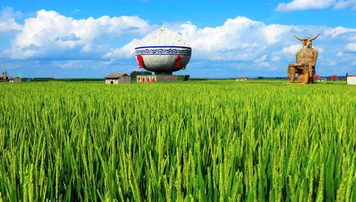 老字號(hào)稻谷產(chǎn)品添柴助力江城文旅熱