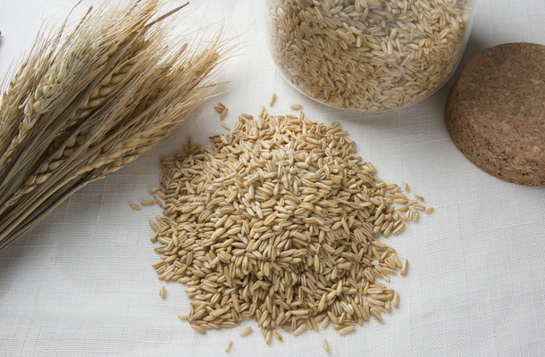 五谷雜糧之美 稻谷攝影圖賞析